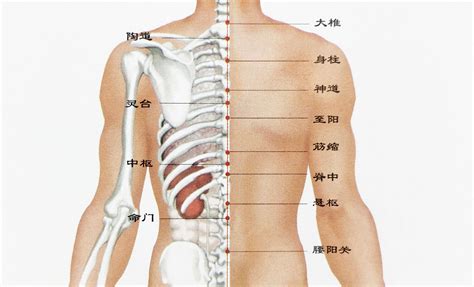 背有痣:辛苦命|背部有痣图解大全 背部有痣的人看命运